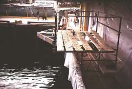 scaffold