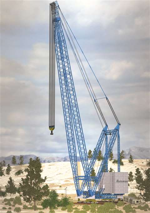 Blue CRC crane in the desert