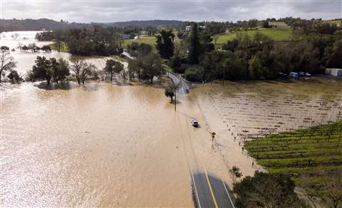 Flooding beside the Russian River on Westside Road. Healdsburg, Sonoma County, CA