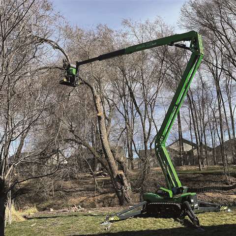 leguan 225 arborist work