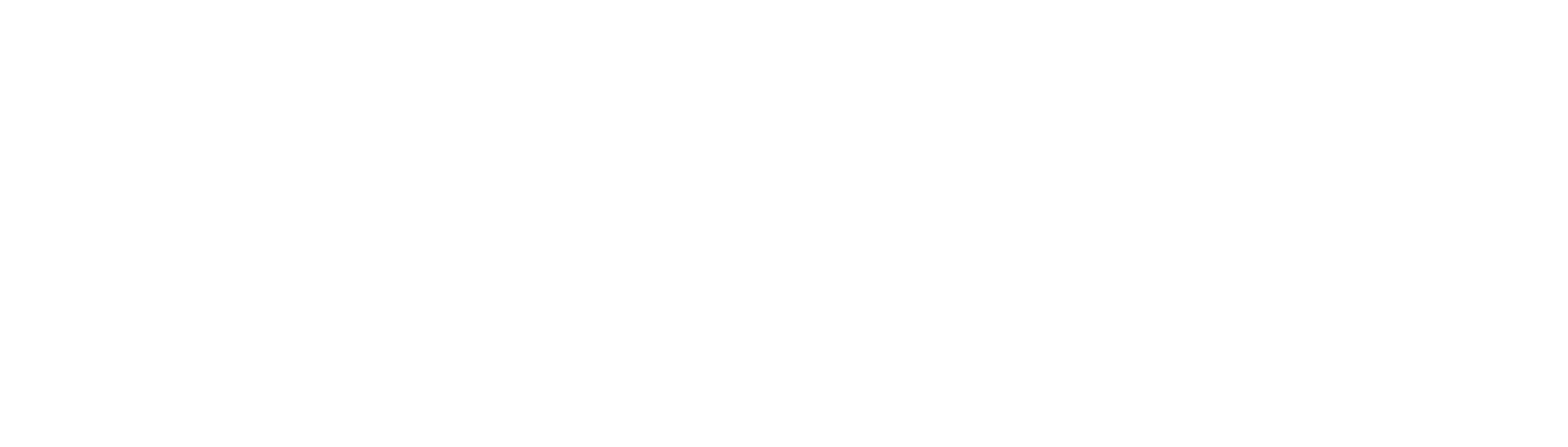 Power Progress white logo