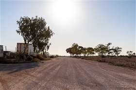 800px-Rawlinna_(AU),_Trans_Access_Road_--_2019_--_0577