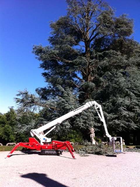 2 tsj25 sara giardini