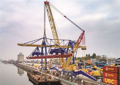 Steil mannheim landscape