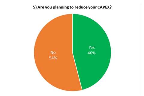 Survey, capex 2