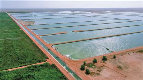 Bauer expansion of wetland treatment plant in Oman