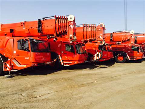 The models join a fleet of 500