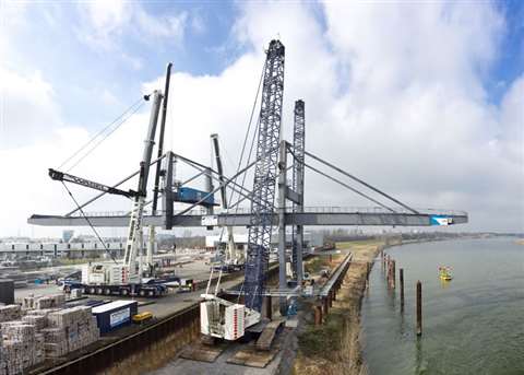 Wasel cranes on the banks of the Rhine near Dormagen