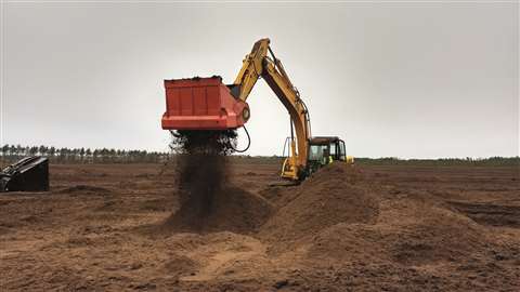 IMG_20171012_115855547_HDR