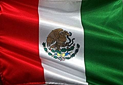 Mexican Flag