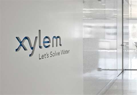 Xylem