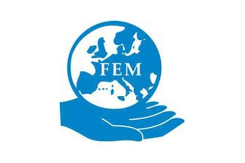 Fem logo untitled 1