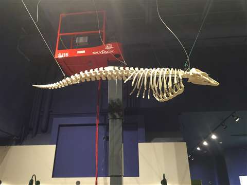 Skyjack donated this SJ16 to Ontario Rental Supply for use at the local Aquatarium. 