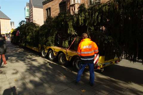 Eisele using its Tadano ATF 60G-3 to erect a Christmas tree in Frankfurt, Germany