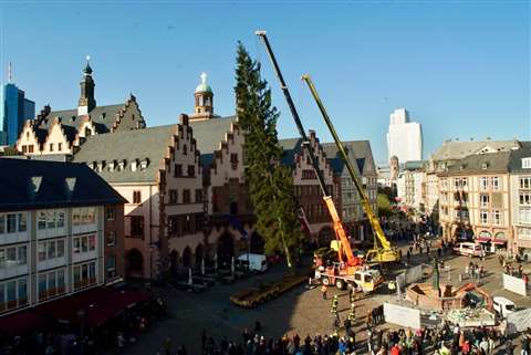 Eisele using its Tadano ATF 60G-3 to erect a Christmas tree in Frankfurt, Germany