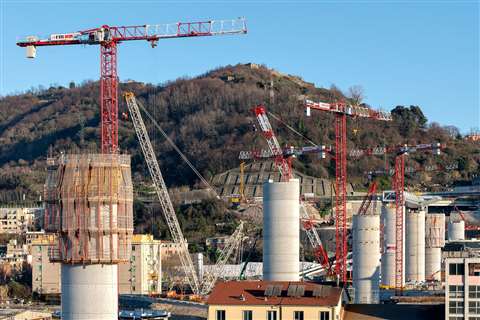 FM Gru Foto 5- 11 Gennaio 2020