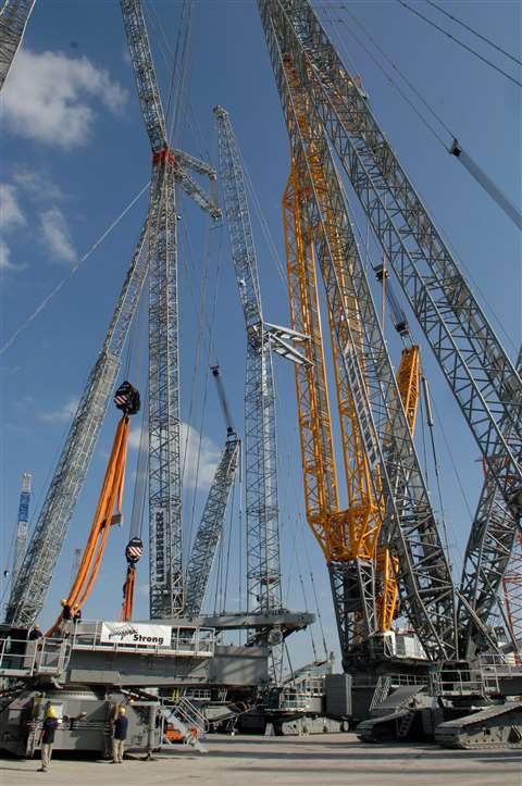 Liebherr cranes that were exhibited on the company's open day last year